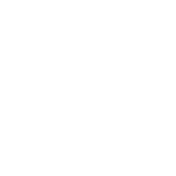 audit (1)