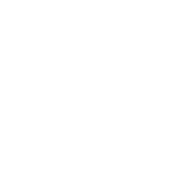 monitor (1)