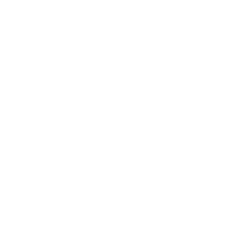 team (6)